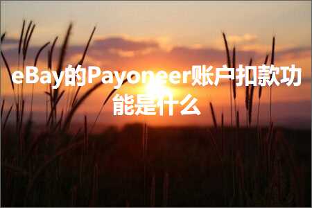 跨境电商知识:eBay的Payoneer账户扣款功能是什么