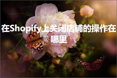 璺ㄥ鐢靛晢鐭ヨ瘑:鍦⊿hopify涓婂叧闂簵閾虹殑鎿嶄綔鍦ㄥ摢閲? width=