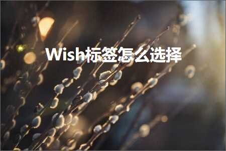 跨境电商知识:Wish标签怎么选择