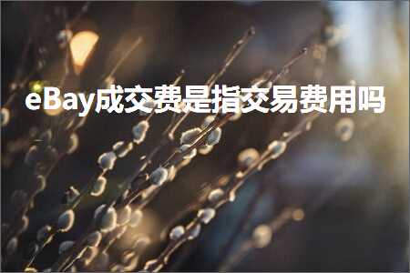 跨境电商知识:eBay成交费是指交易费用吗