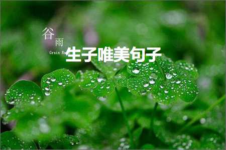 鍏充簬姊︾殑鍞編鍙ュ瓙50瀛楋紙鏂囨812鏉★級