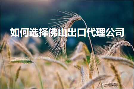 跨境电商知识:如何选择佛山出口代理公司